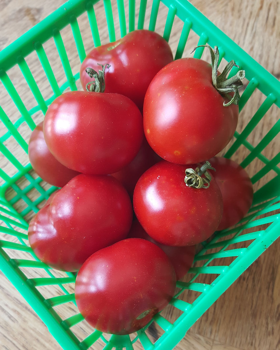 Thumbnail: Salad - Stupice