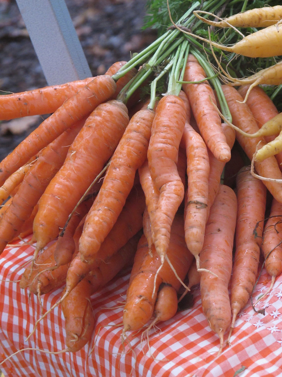 Thumbnail: Organic Kitchen Garden Manual