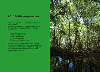 C6 BRAND GUIDE-11.png