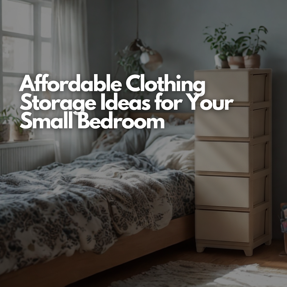 Affordable Clothing Storage Ideas for Your Small Bedroom
