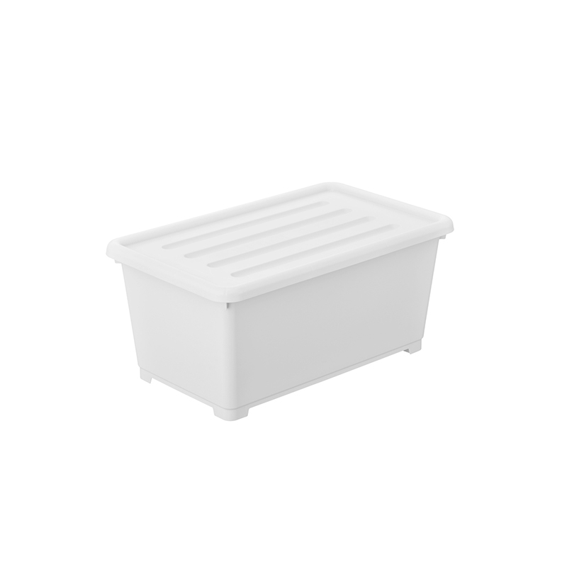 Organizing Bin With Lid