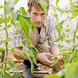 Gardener
