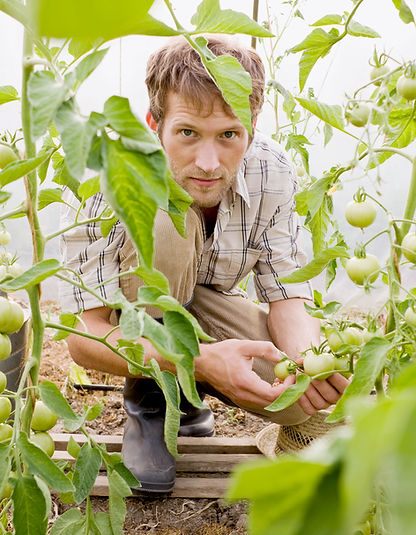 Man in Greenhouse
