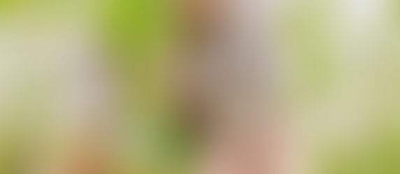 Dietas vegetarianas y veganas: Nutrientes críticos (y un cuadro muy útil para pegar en la heladera)