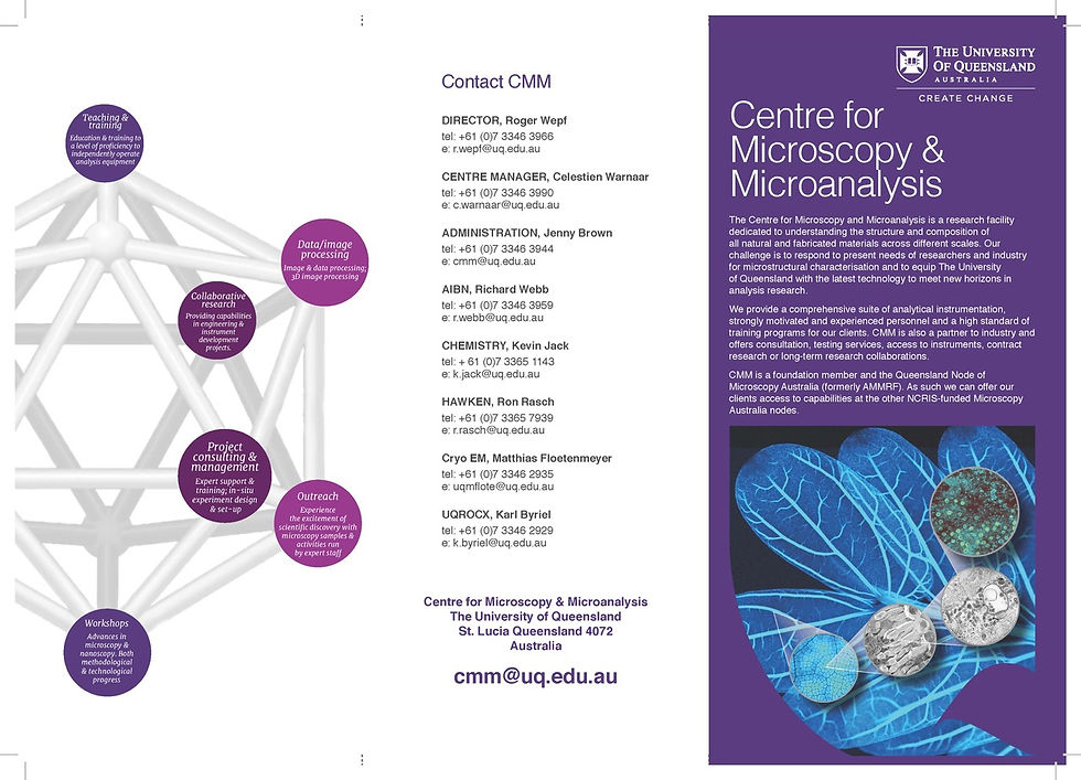 CMMDL2019XrayFINALPrint_Page_1