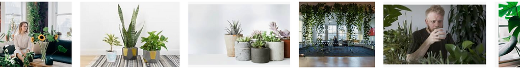 Screen Shot 2019-03-07 at 10.06.48 PM.pn