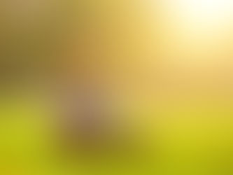 Você realmente sabe para que serve a vitamina D?