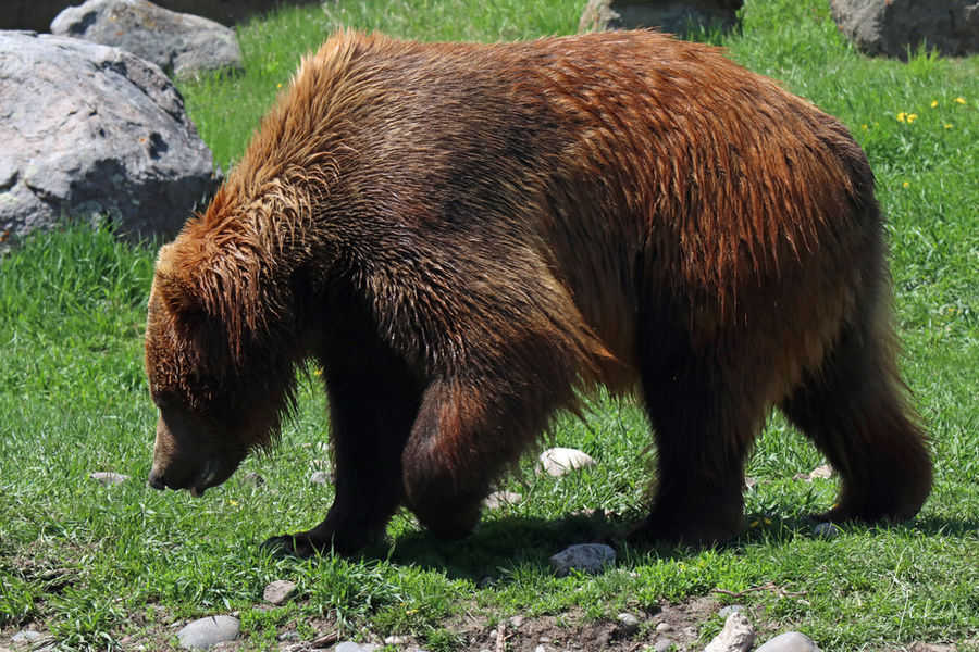 Max at MGE 5-29-23 Full ©.jpg