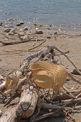Snake River | Lori Fink Photos