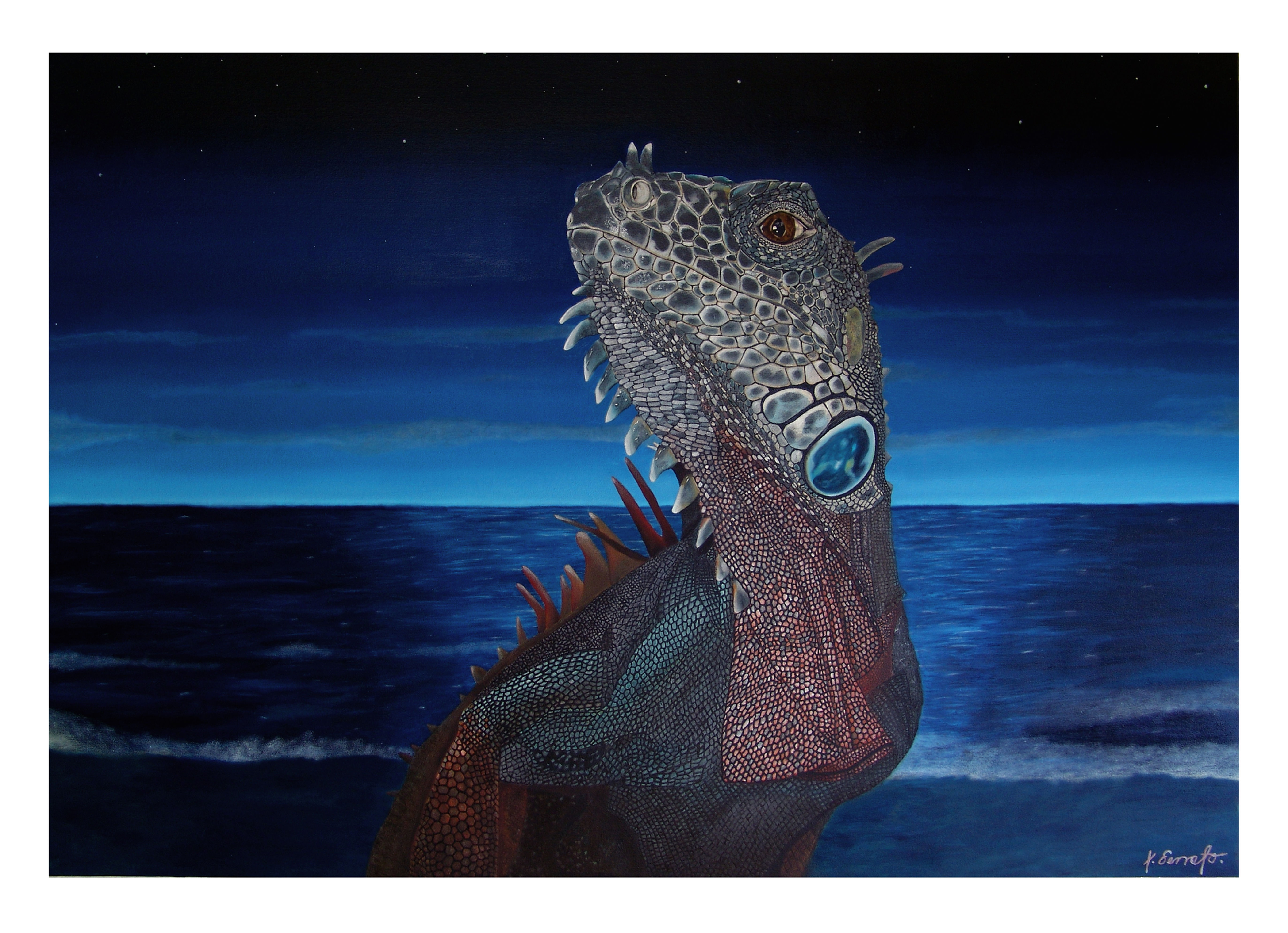 "Full Moon" 51"x35.5" Limited edition fine art print