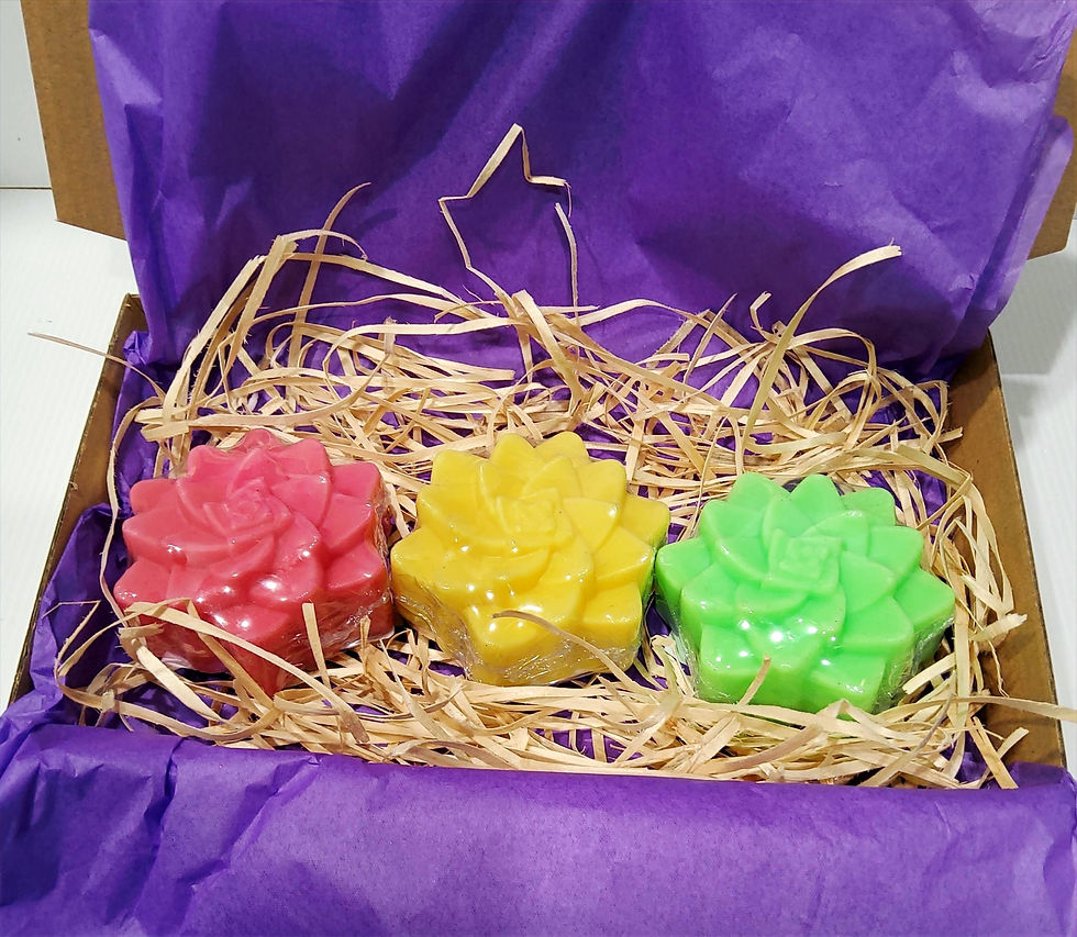 Thumbnail: Handmade Soap - Succulents - Fruit Fragrance - Giftbox 3 x Soaps - No Palm Oil - Vegan Friendly