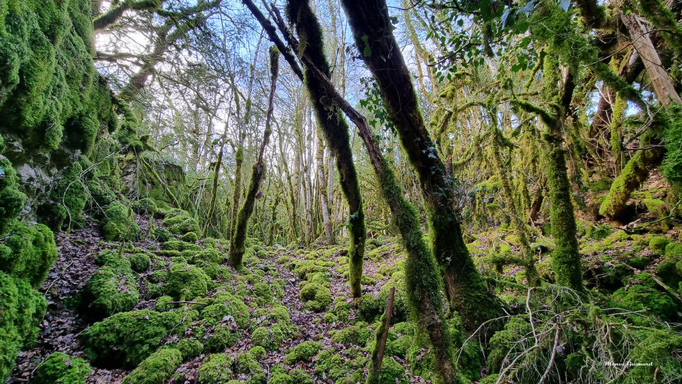 zone_natura2000_1