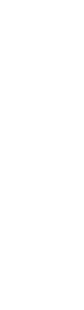 sendrosia%20asset_edited.png
