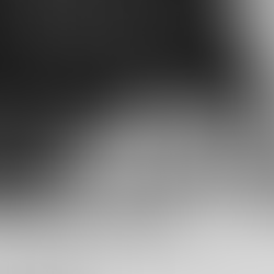 2016 | Ano da inauguração do Instituto Cultural