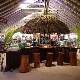 A charming bar with a thatched roof and wooden stools, offering a warm and welcoming environment for guests.