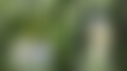 Weddings in The Southern Highlands of NSW