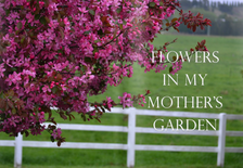 FLOWERS IN MY MOTHER'S GARDEN - STYLING MAGAZINE