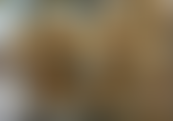 A magical fragrance workshop in the studios of Styling Magazine, Moss Vale, Southern Highlands of NS