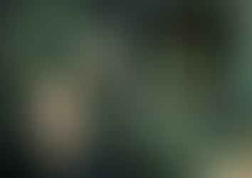 LES CARNETS de MISS CLARA - THE BEAUTIFUL WORK OF FRENCH ARTIST, AUTHOR AND GRAPHIC DESIGNER, CLAIRE