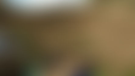 Unconventional Pitches