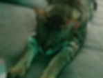 isabella-testimonial-2(1).jpg