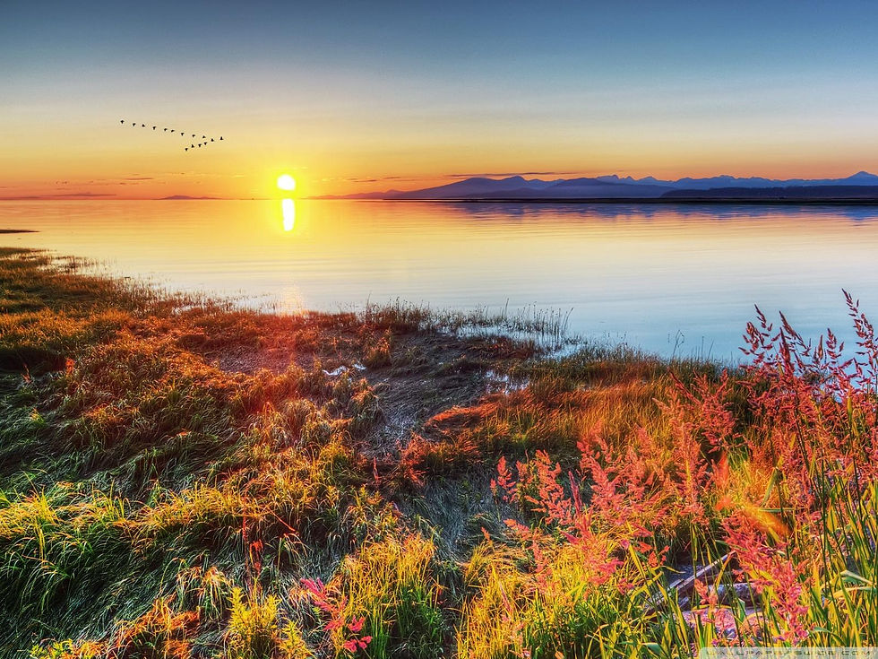 Migratory Birds Flying Over The Mountain Lake wall.jpg