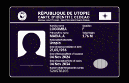 customized identity card graphic design visual counterfeiters