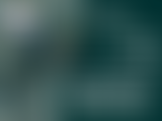 Everwell Associates are an Official Exhibitor at the Brighton & Hove Business Show 2026