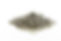 L1171357.jpg