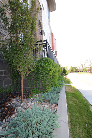 Amundson Flats Edina Minnesota Landscape 
