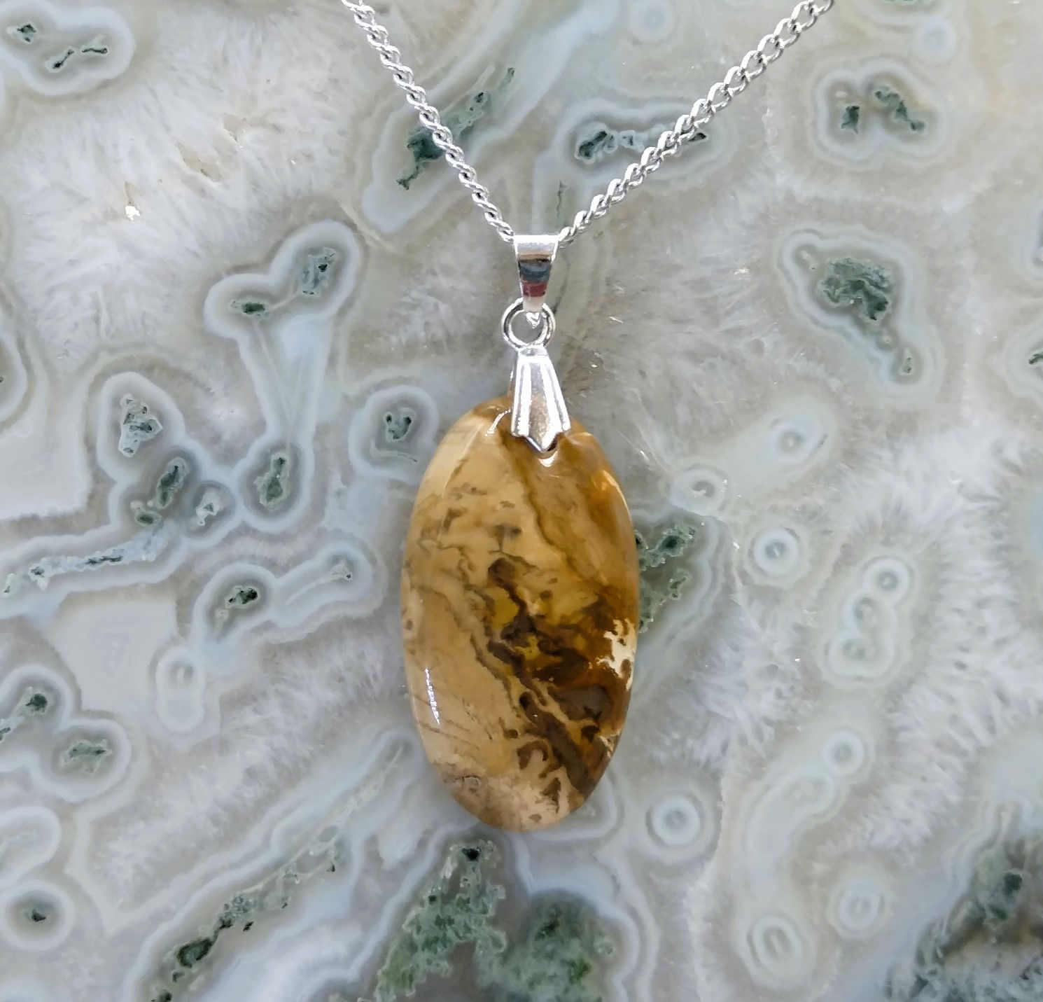 Bois pétrifié (Fossilisé)