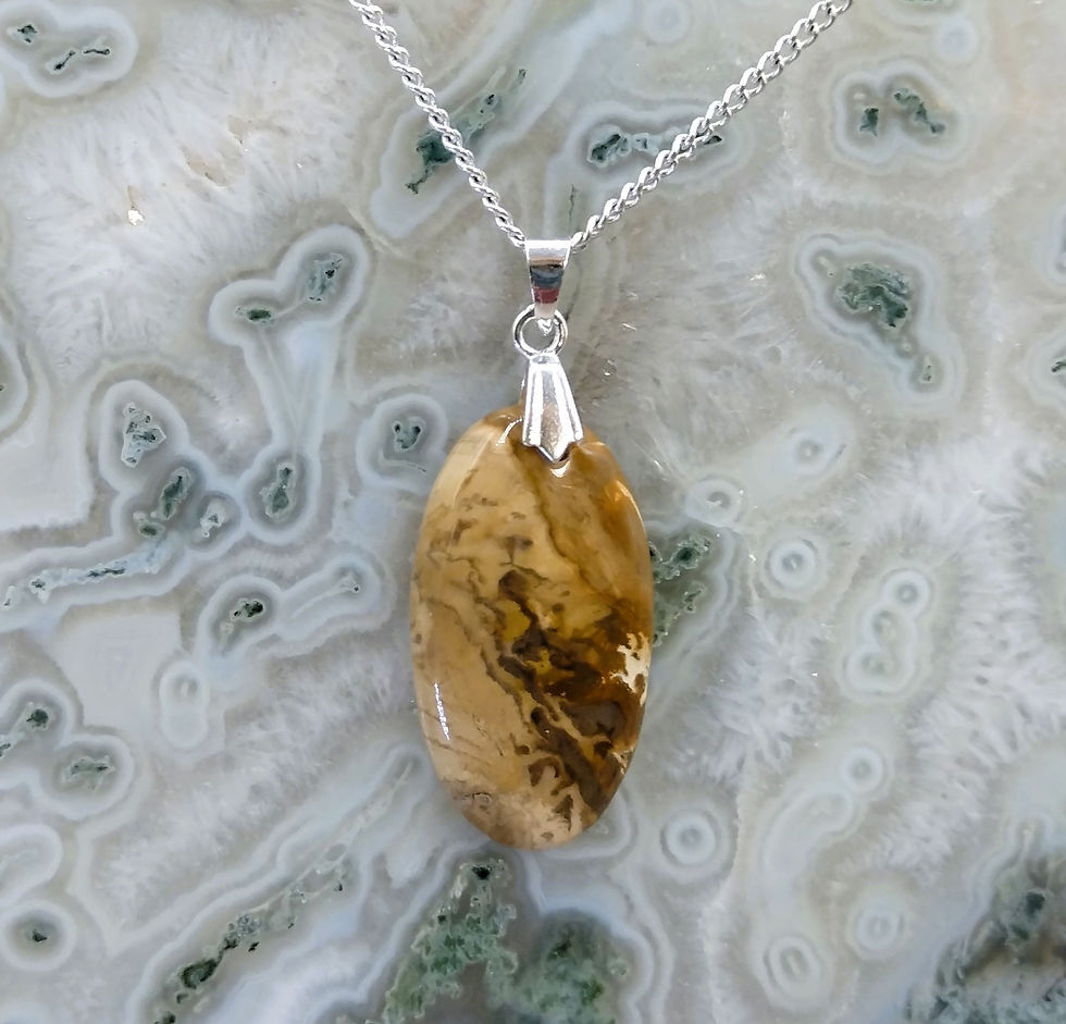 Miniature : Bois pétrifié (Fossilisé)