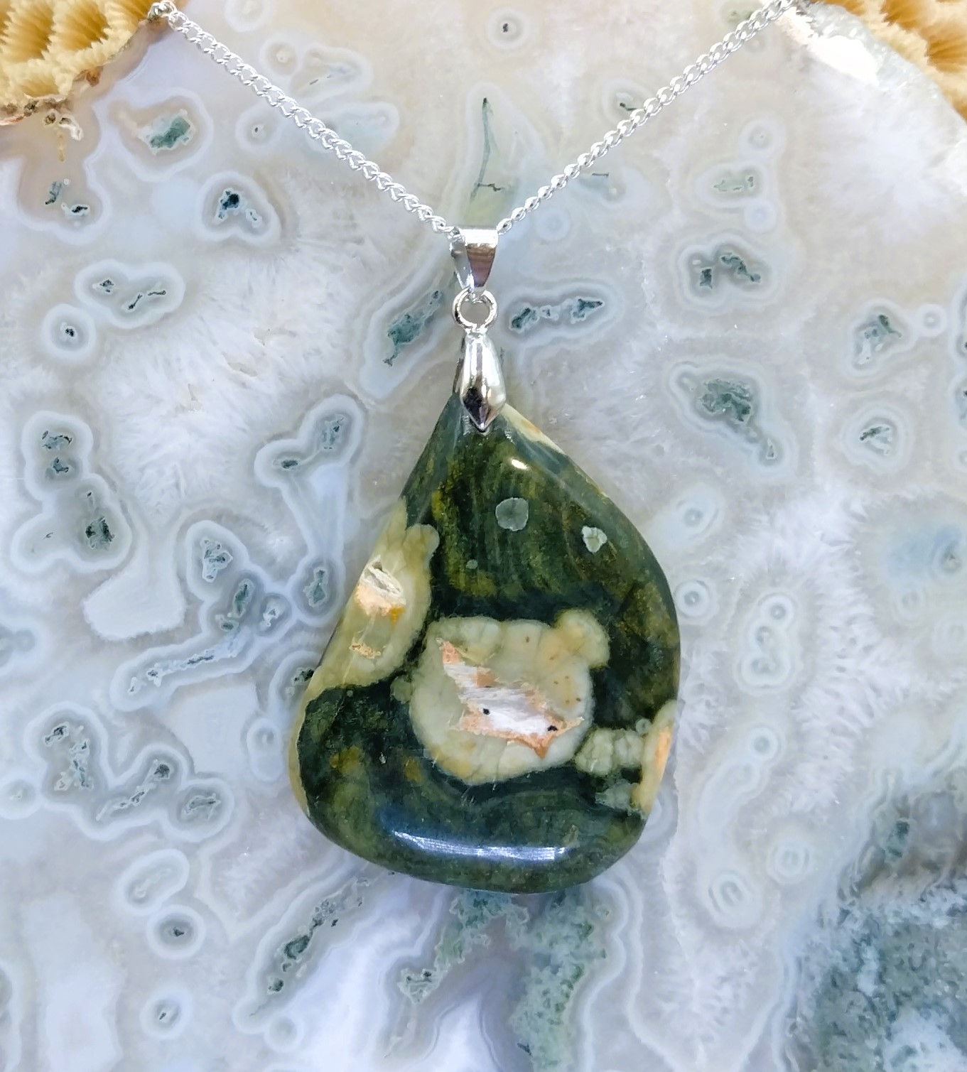 Bois pétrifié (Fossilisé)