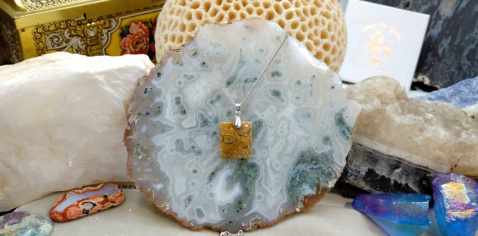 Miniature : Agate Turitelle (Fossile)