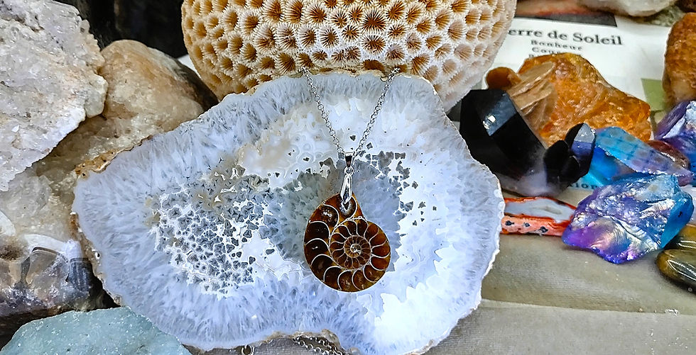 Miniature : Ammonite Fossile