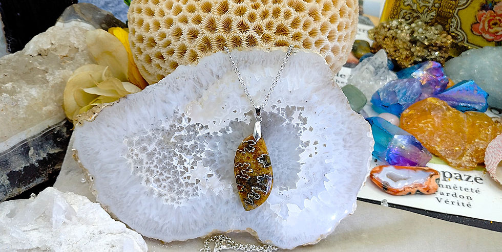 Miniature : Ammonite Fossile