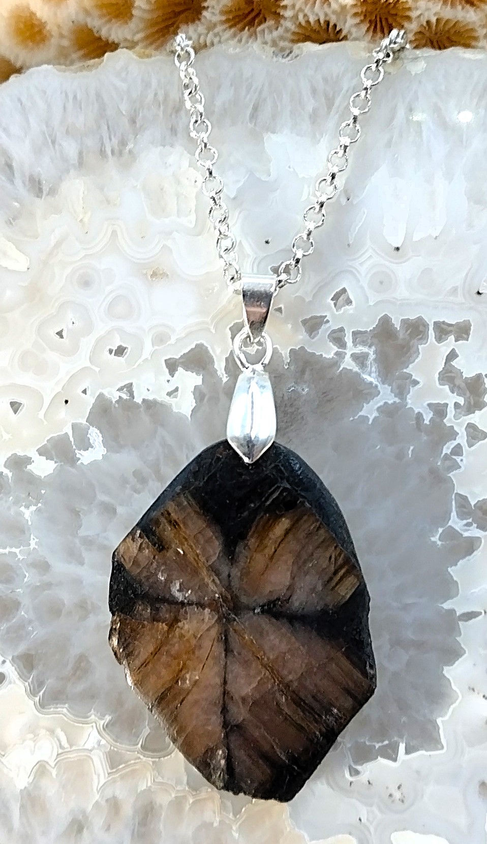 Chiastolite (Andalousite)