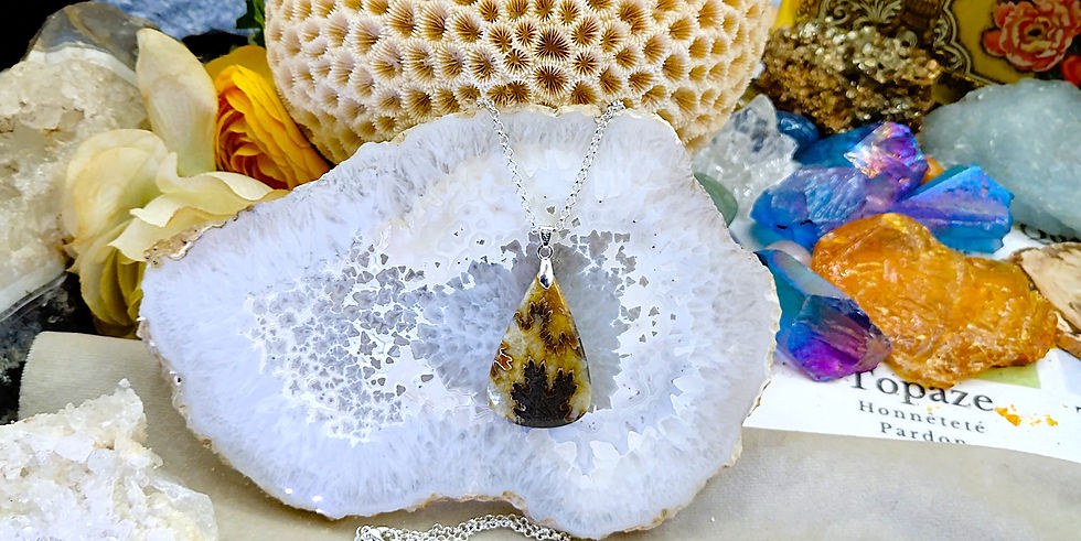 Miniature : Ammonite Fossile