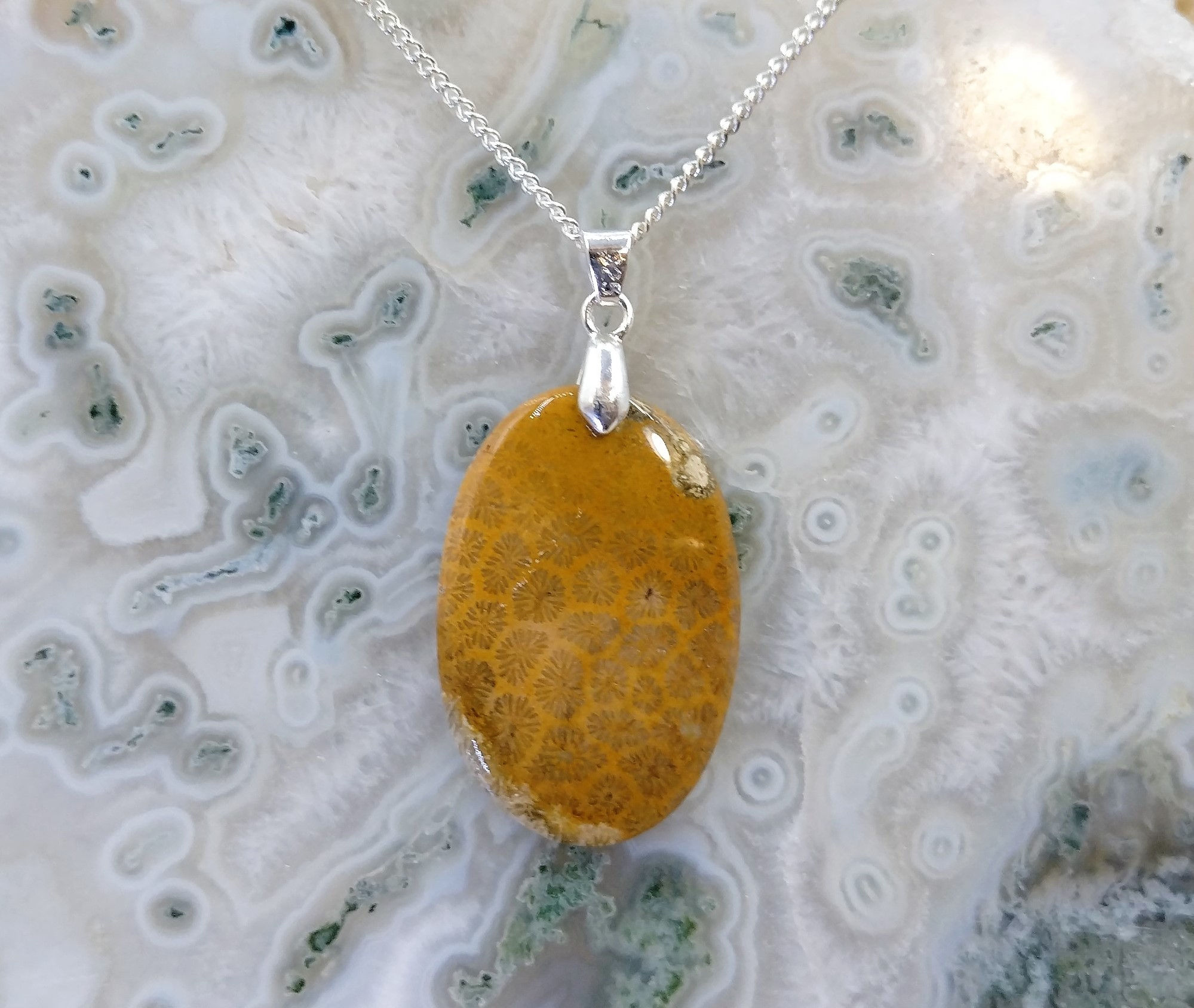 Corail Fossile