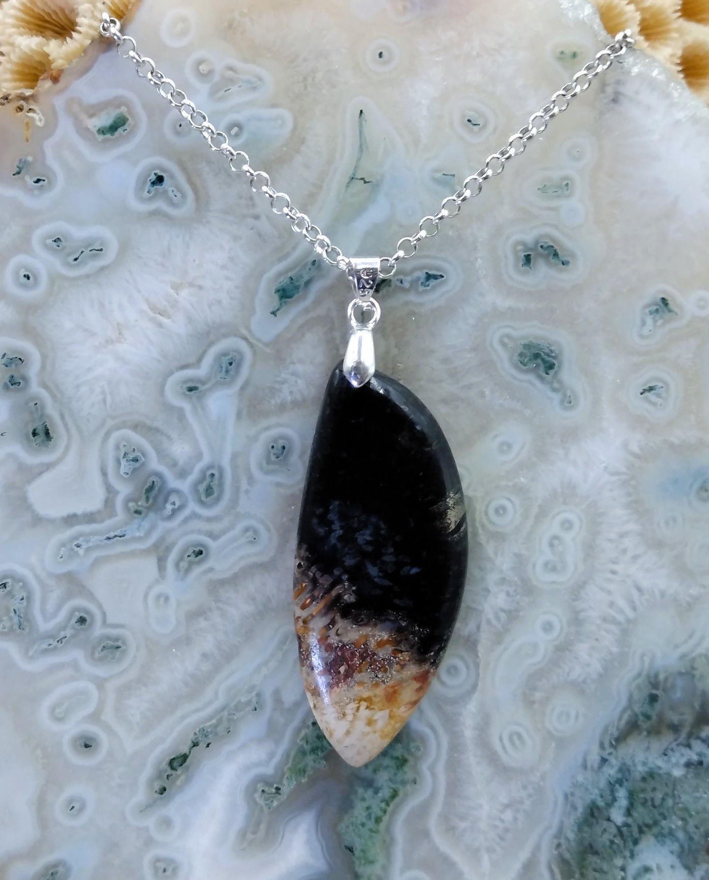 Bois de Palmier Fossile d'Indonésie