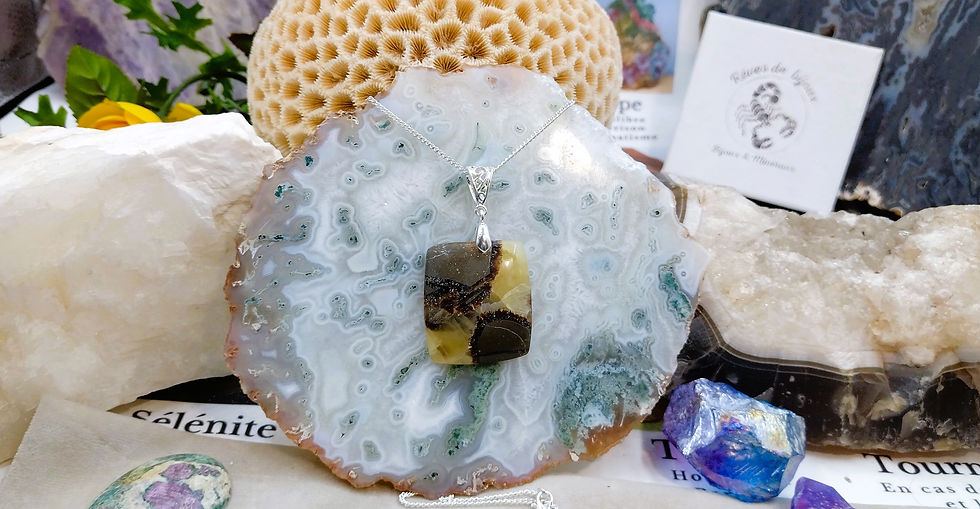 Miniature : Formidable Septaria
