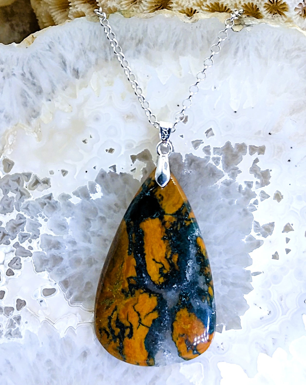 Agate avec corail rouge fossile