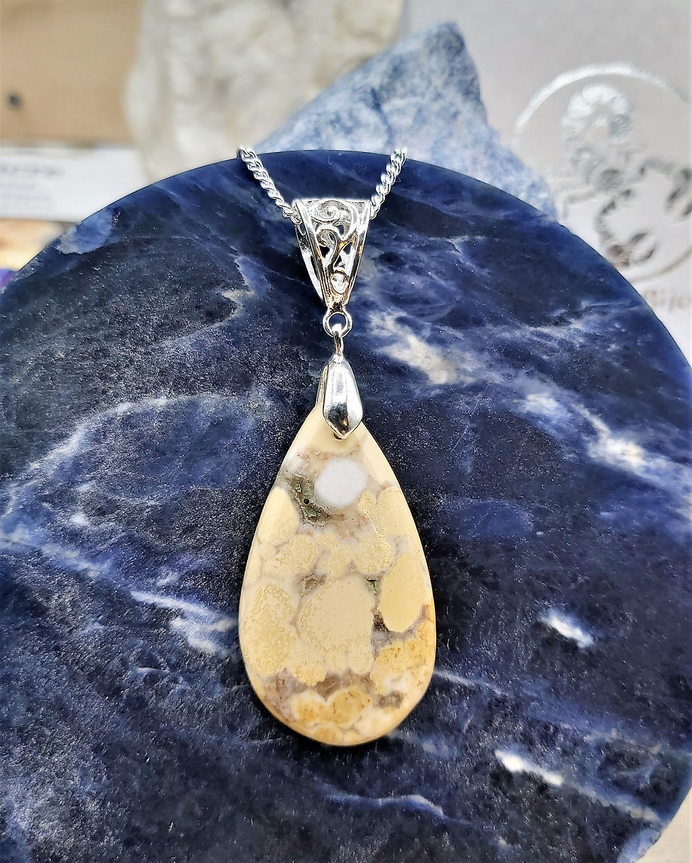 Miniature : Collier avec pendentif Corail Fossile