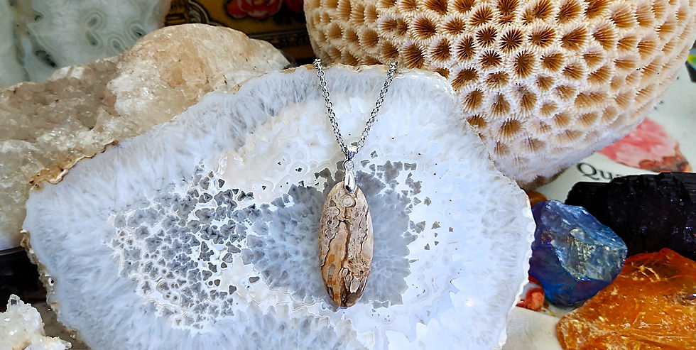 Miniature : Bois pétrifié (Fossilisé)