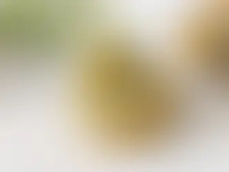 Le jaspe bumble bee, une pierre solaire unique