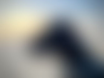 A Dog’s Guide to the Good Life In Magoebaskloof & Haenertsburg