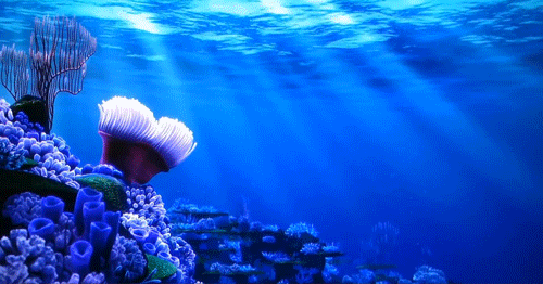 finding nemo ahhh #loop #cg.gif
