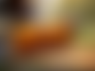 Explore Beekeeping Adventures in Collinsville