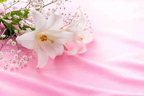 AdobeStock_101587834.jpg