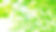 新緑